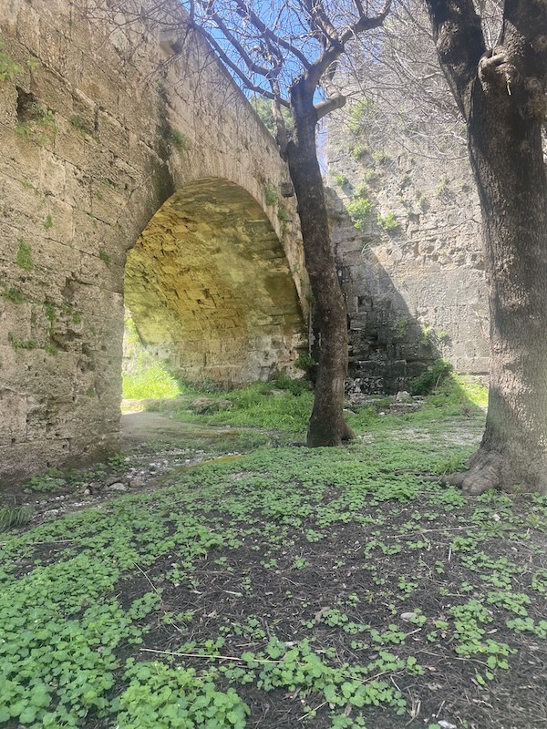 Il Fossato Di Rodi